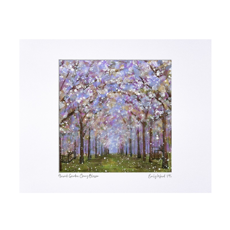 Alnwick Gardens- Taihaku Cherry Blossom Limited Edition Print with Mount