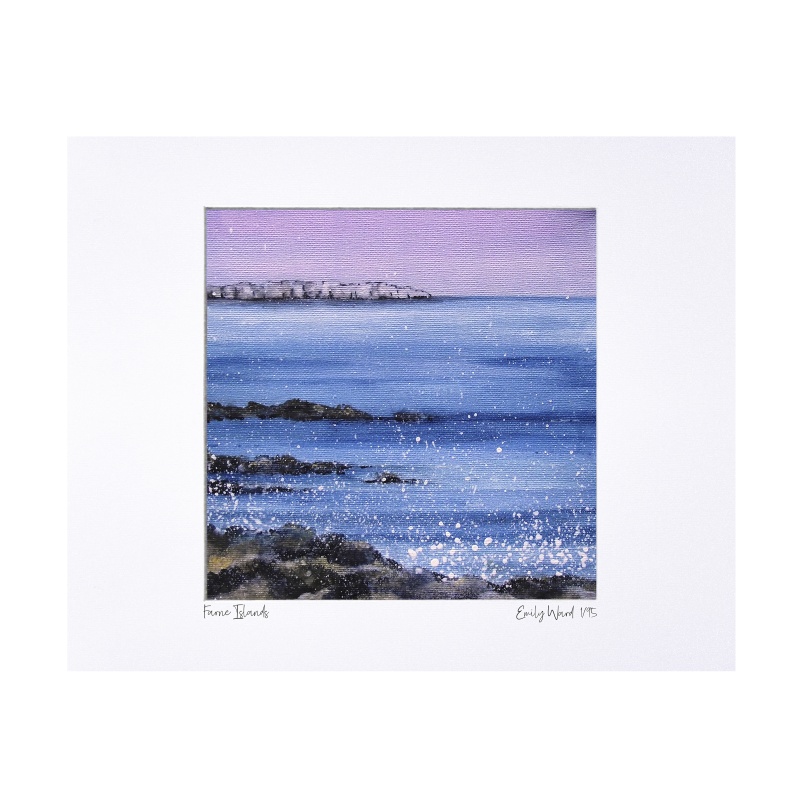 Farne Island Limited Edition Print with Mount