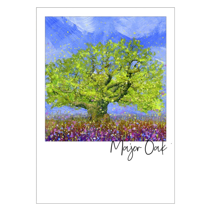 Major Oak, Sherwood Forest Postcard